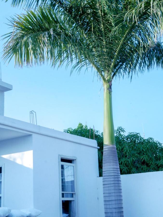 Hotel La Huerta Río Verde Exterior foto